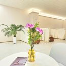 힐스템 수면 힐링샵 | 대전복합터미널 낮잠 수면카페! 30대 여성 힐링 공간 허리조아 메디컬 마사지샵