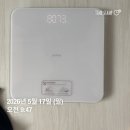 단거 | 마운자로 17주 차 후기-마운자로중 유독 단거 땡겨?(드디어 10키로 감량)