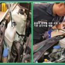 영 모터스 이미지