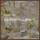 [10/20]가드닝 클래스 | 잠실 원데이클래스 추천 리브717 ㅣ 제스모나이트 화분 만들기 아프리카식물 가드닝 후기