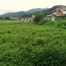 위크팜글램핑 이미지