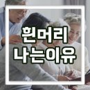 흰머리가 나는 이유 이미지