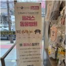 삼정동물병원 이미지