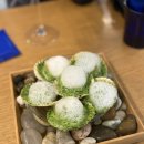 서촌 파틱 내돈내산 다녀온 후기｜감성 분위기 맛집 데이트 추천 🤍 (with 박노수 미술관)
