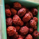 용복농장 이미지