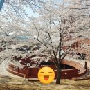 유성사우나 이미지