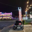 청오돼지들의세상 이미지