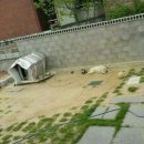 하수구 이미지