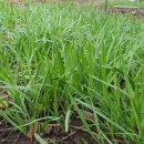 풍수부동산중개사무소 이미지