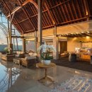 호텔정글(jungle) 이미지