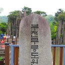 마치무릉도원 이미지