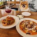 테이트펜션 | 화성 애견동반숙소 TOP 6 봄 산책 최적지 비교 후기 많은 곳