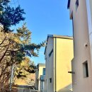 스테이 뭉구 이미지