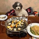 충무로애견 | [충무로역 을지로 맛집] 떼르세로 코스테스, 가족모임 내돈내산 애견동반