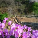 꽃동산화원