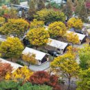 화랑유치원 이미지