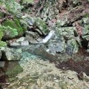 용문의원 이미지