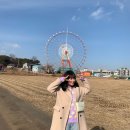 박승희 디자이너 브랜드 멜로페 melope 가방, 버드백 후기