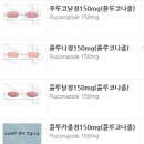 네오코코 네이버블로그