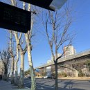 성주로 | 2026 성주 참외마라톤 후기 🍈•‿•🍈