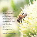 초심으로 돌아갑시다(117)// ▣ 시창작법 - 이문재 / 이채민 시 한 편 이미지