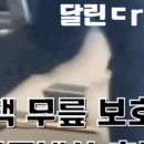 내나목장 네이버블로그