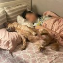 비나이더 방배점 | 8월일상 &lt;8/1 ~ 8/7 진성한우곱창, 한스케이크, 피부미용필기독학, 버블1주년, 새로운PT쌤, 피부미용...