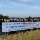 전남도립도서관 이미지