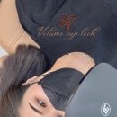 펄미에이트 이미지