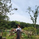 부자 흑염소농장 이미지