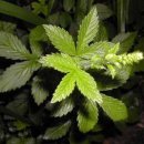 선학초등학교 이미지