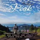 황금전문정비 | [지리산 반야봉] 성삼재 코스의 18km 지옥과 천당! 황금정상이 전하는 100대 명산 지리산 졸업기