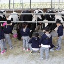 다감농장 이미지