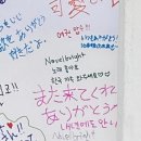 학생체육관 | NOVELBRIGHT 20251011 내한 공연 후기 / 잠실학생체육관