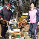 강남농약 이미지