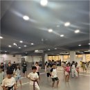 동광주 태권도 | 유치원생태권도 입문, 정말 필요한가요? 꼼꼼 질문에 모두 답해드립니다