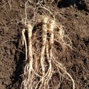 으뜸2농장 이미지