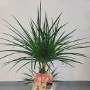 신한건축사 이미지