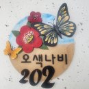 나비사회적협동조합
