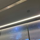 2024 유다빈밴드 단독콘서트 &#39;우리의 밤 - 오늘은 잠에 들거예요&#39; 후기 (241230) @명화라이브홀