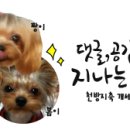 개린이 하우스 이미지