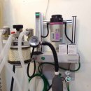 분당 아마존 동물병원 이미지