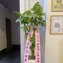 도은모터스 네이버블로그