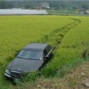 김포자동차운전전문학원 이미지