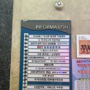 공간정리전문가(목) | 수완지구 바로세움 자세체형교정센터, 광주 체형교정원 전문가 1:1 맞춤관리 후기