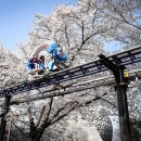 (주) 서울랜드 이미지