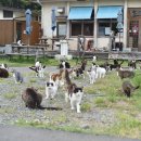 수채화(동부센터) 이미지