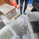 퍼플테라스 이미지