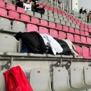 대한민국 vs. 오만 축구 국가대표 A매치 직관후기