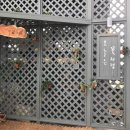 드랑드랑 이미지